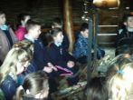P4 Visit Navan Fort and Centre